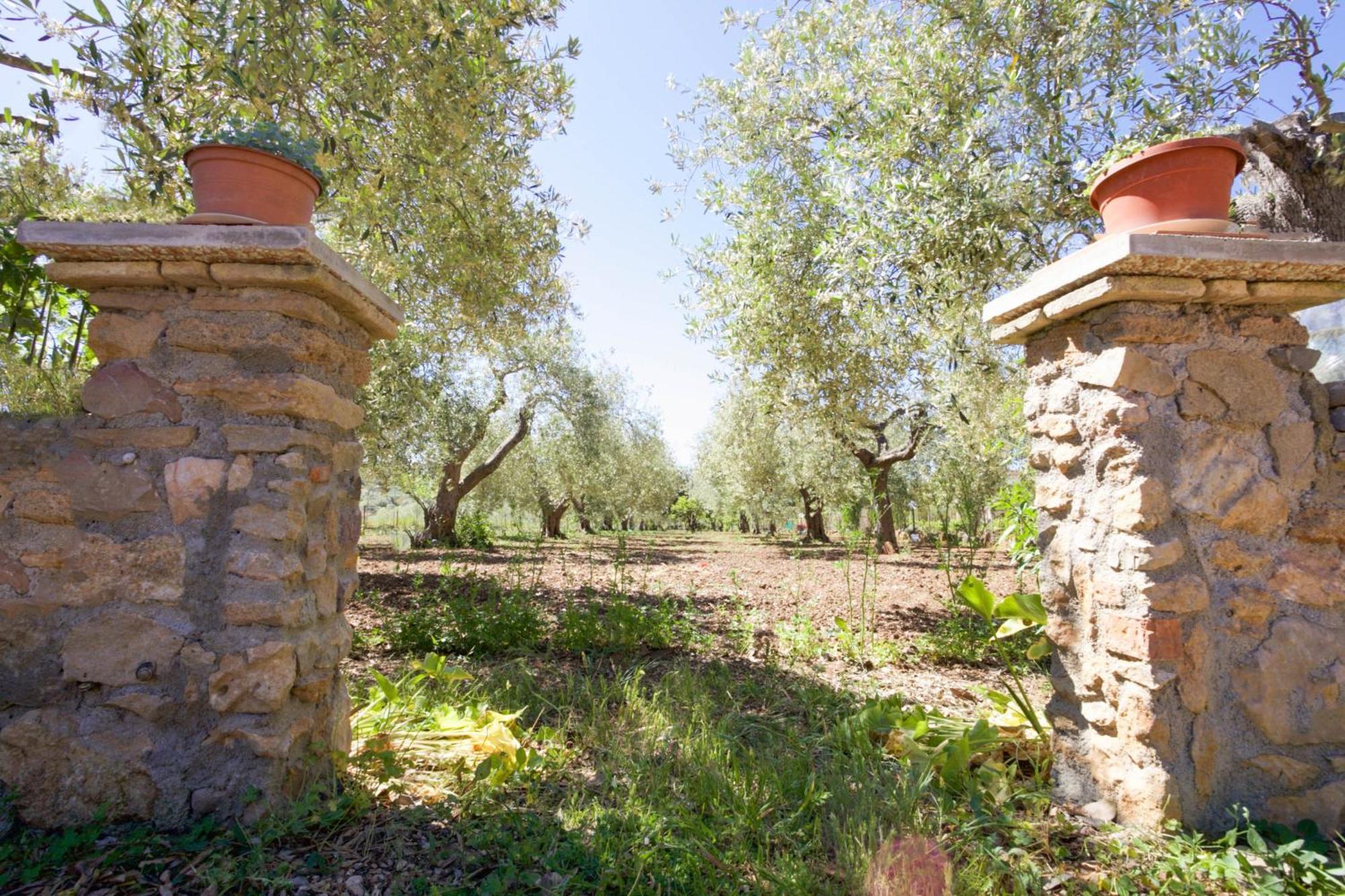 Villa Pedra Moro Alghero Esterno foto