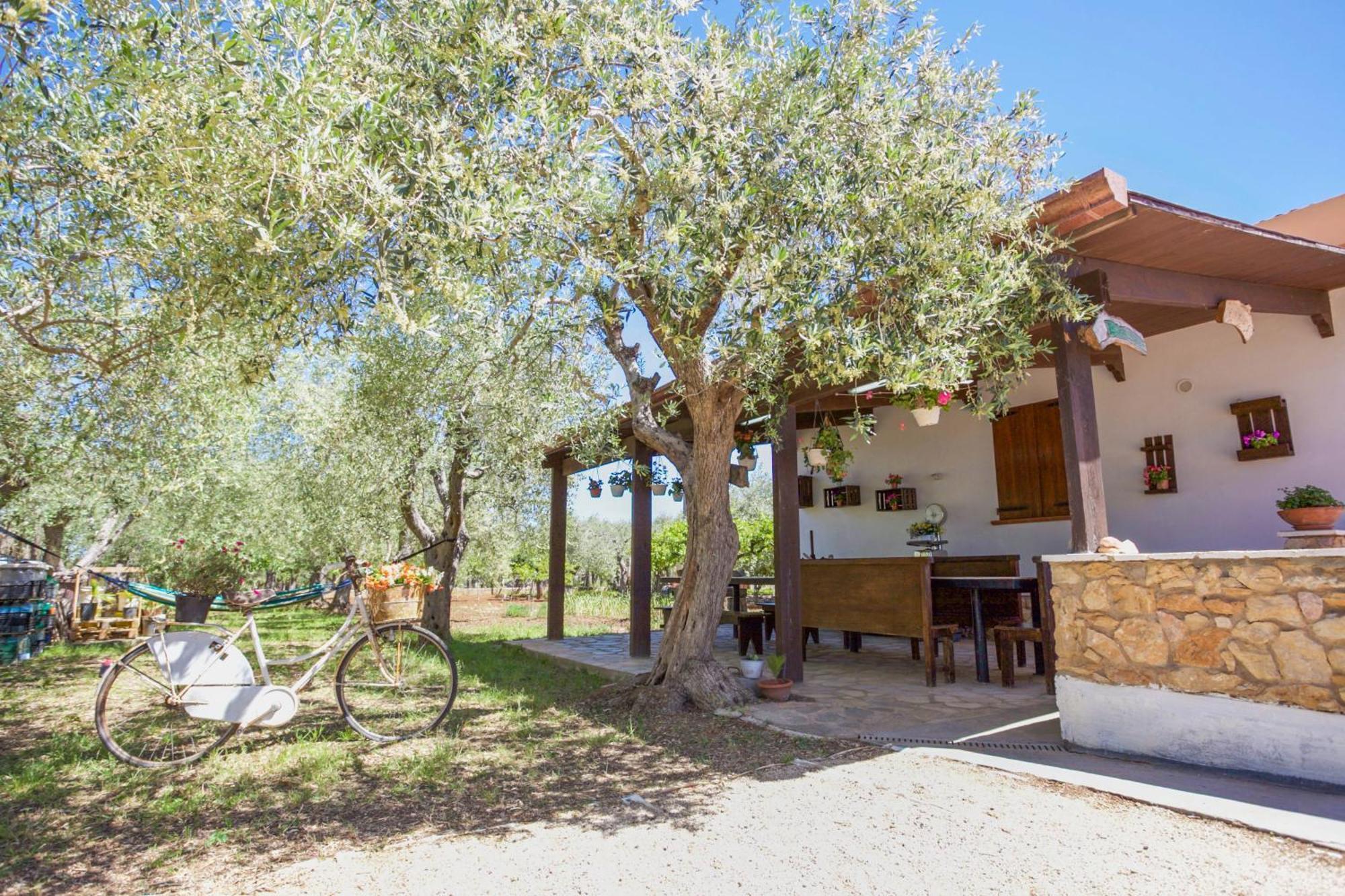 Villa Pedra Moro Alghero Esterno foto